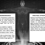 Spectral Dynamic Method1